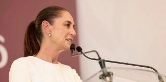 Exportación de ganado mexicano a Estados Unidos inicia en agosto
